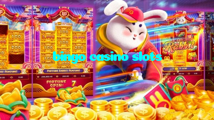 bingo casino slots